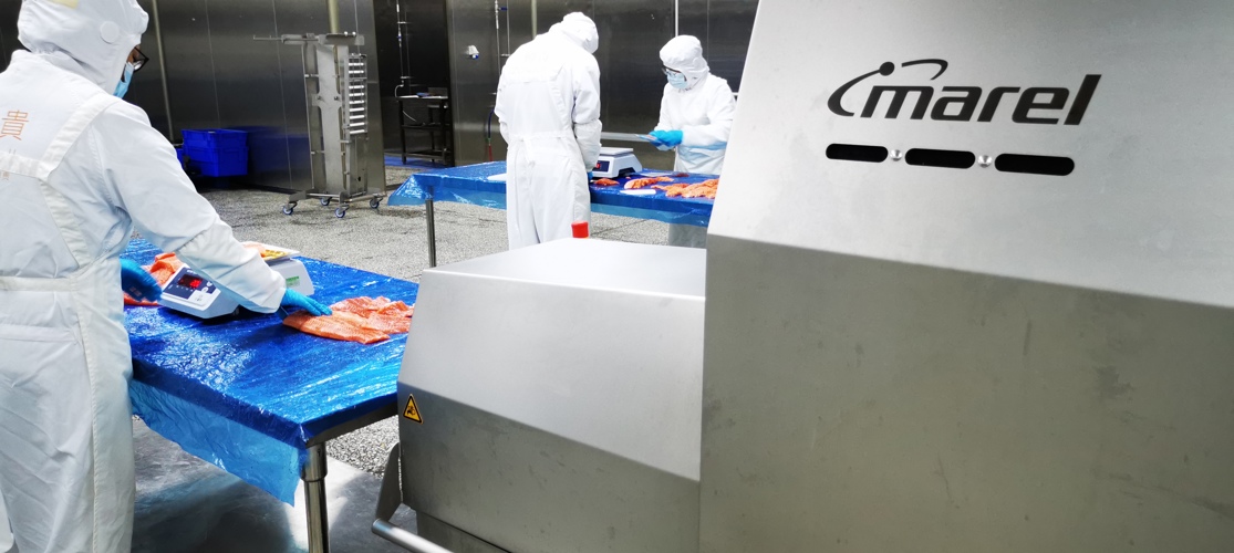 Tianyun Builds New Brand Trout Fresh With Marel Automation