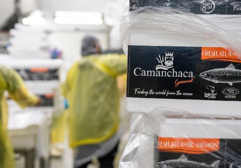 Camanchaca Packing Salmon