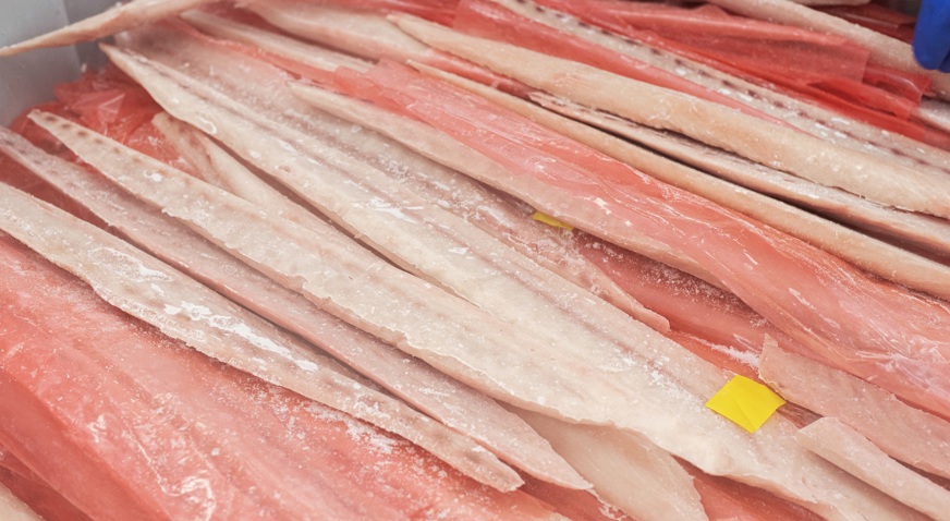 Coinrefri Frozen Fish Fillets