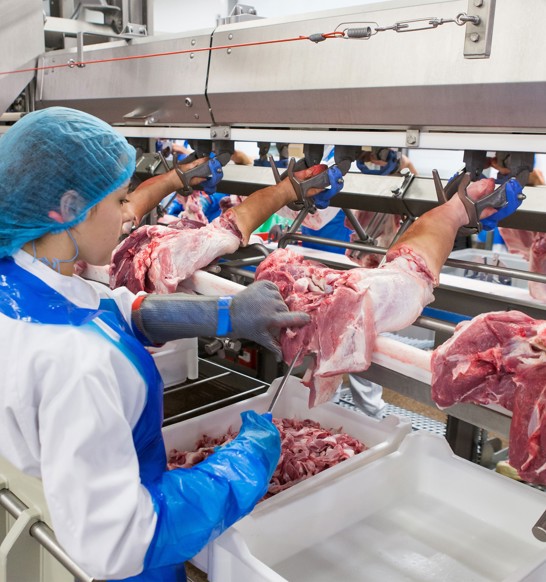 Meat deboning line, Marel DeboFlex