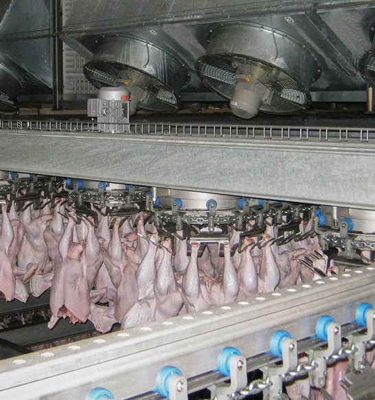 downflow-plus-shock-pre-chiller-turkey-poultry.jpg