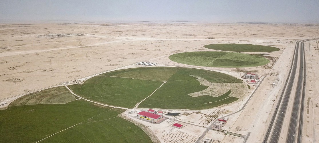 mazzraty-aerial-photo-irrigation.jpg