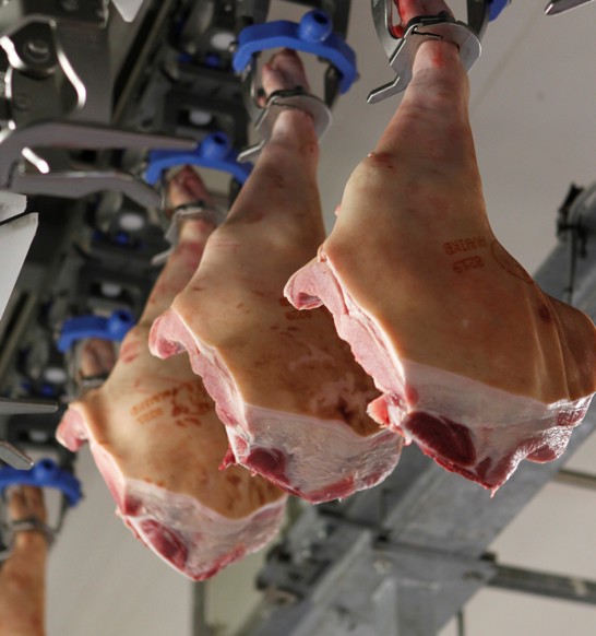 Inline, hanging pig deboning line