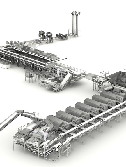 Sistema de Manuseio, Distribuição, Classificação e Empacotamento de salmão inteiro