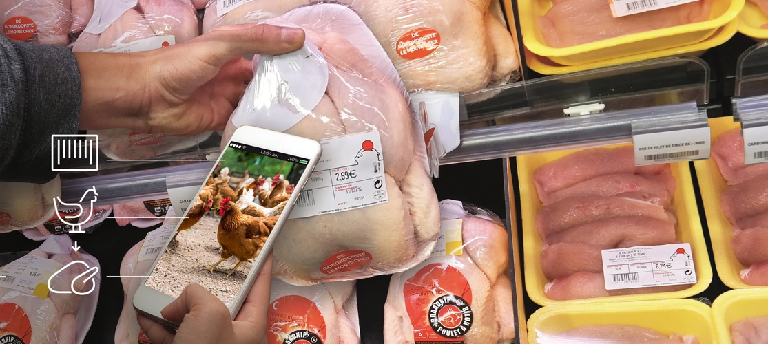 Traceability Supermarket Chicken