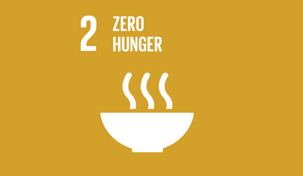 Zero hunger