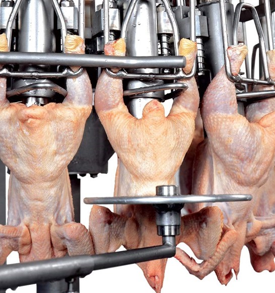 automatic-fat-remover-poultry.jpg