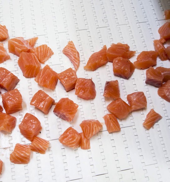 StripCutter salmon dices