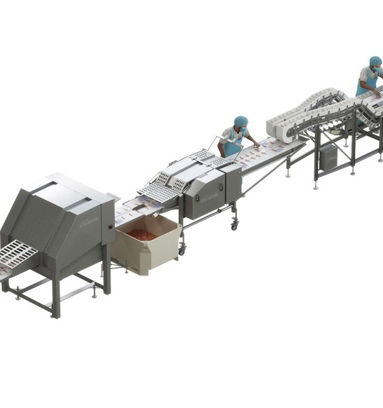 tender-tipper-splitter-with-infeed-system-poultry.jpg