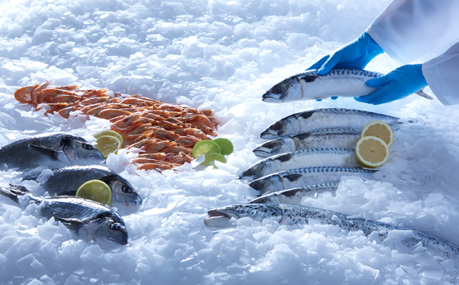 Glace écailles étal poisson