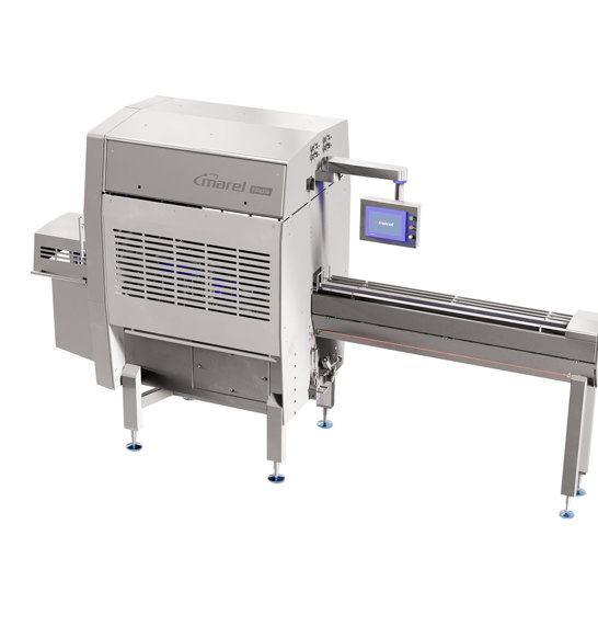 FilleXia tilapia filleting system